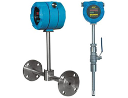 DN20熱式氣體質(zhì)量流量計